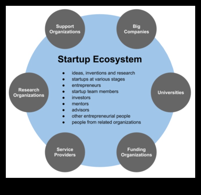 Startup Nabzı: Girişimciliğin Kalbi Atıyor